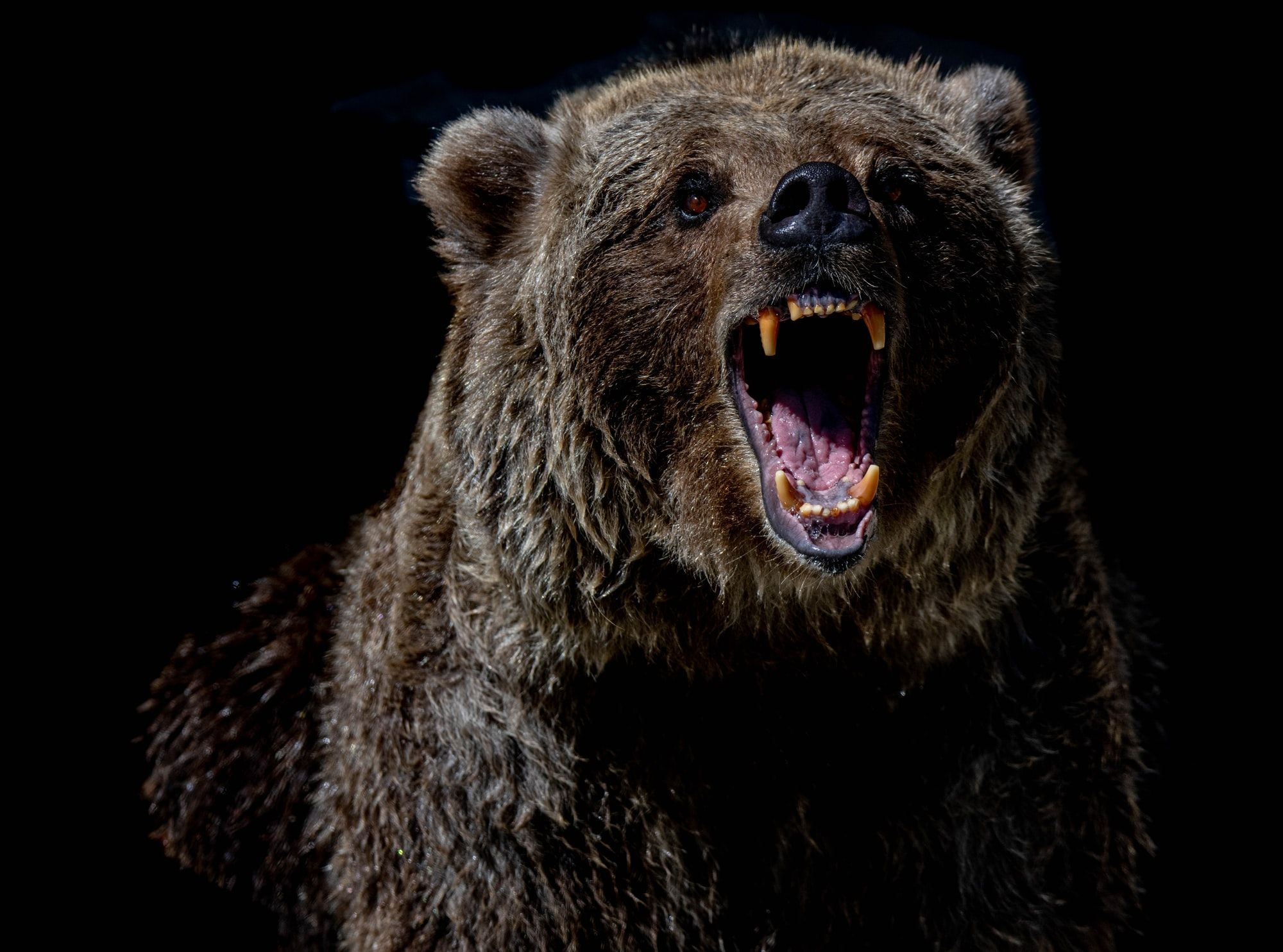 S&P oficjalnie wszedł w rynek niedźwiedzia -22% od ATH!