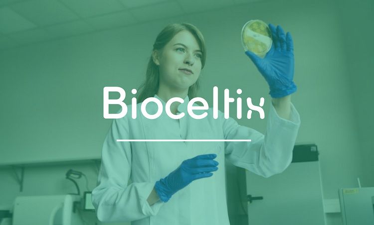 Bioceltix: Akumulacja na minimach?