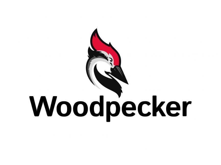 Woodpecker odbił od ważnego wsparcia.