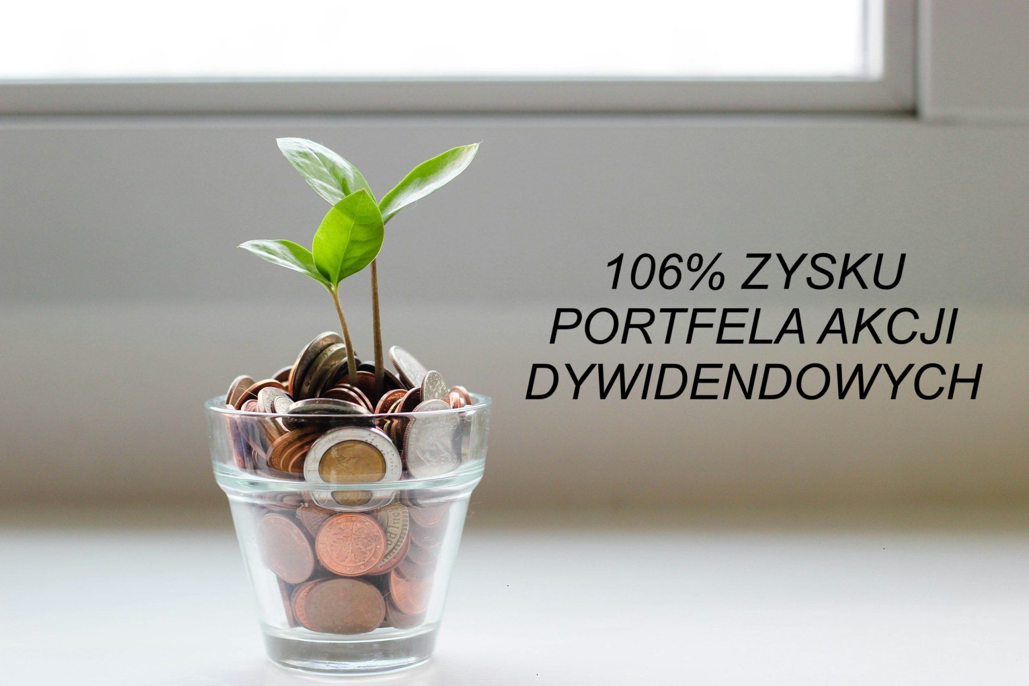 Przegląd portfela akcji dywidendowych LIVE
